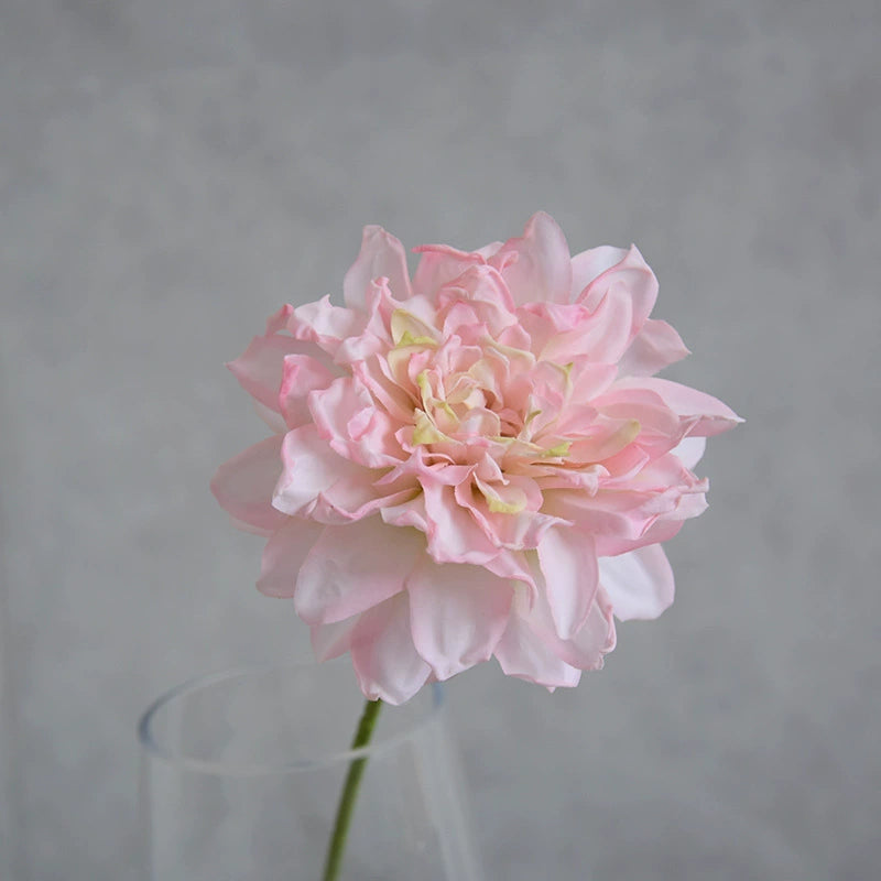 Single Toasted Edge Dahlia Stem, 12-Inch Realistic Faux Flower, Life-Like 4" Bloom for Vase, Home Decor, Wedding Bouquets & DIY Floral Arrangements