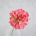 Single Toasted Edge Dahlia Stem, 12-Inch Realistic Faux Flower, Life-Like 4" Bloom for Vase, Home Decor, Wedding Bouquets & DIY Floral Arrangements