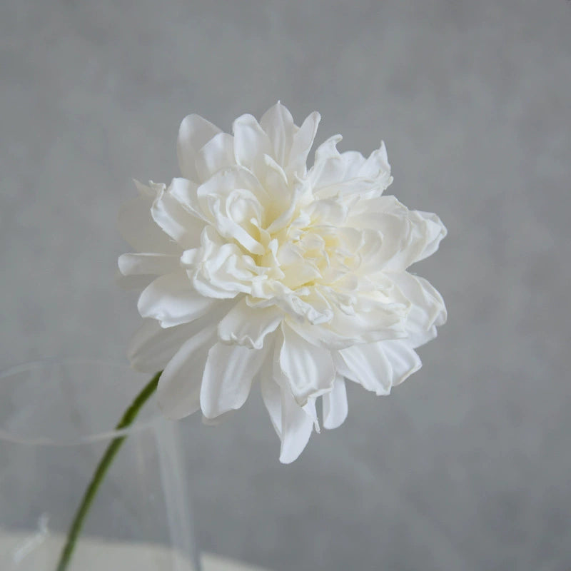 Single Toasted Edge Dahlia Stem, 12-Inch Realistic Faux Flower, Life-Like 4" Bloom for Vase, Home Decor, Wedding Bouquets & DIY Floral Arrangements