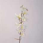 32" Tall Faux Dendrobium Orchid Stem, Lifelike Australian Orchid Spray with 11 Large Blooms, Elegant Vase Filler for Home & Wedding Decor