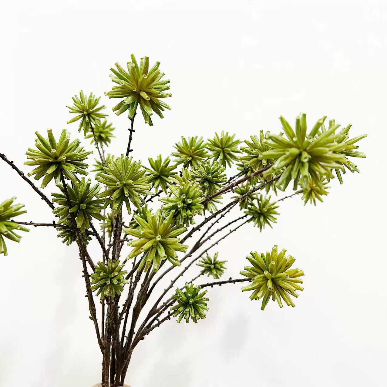 Realistic Water Chestnut Pod Stem, 31" Long Artificial Botanical Branch with 6 Heads for Tall Vases, Modern Home Decor, Floral & Event Design