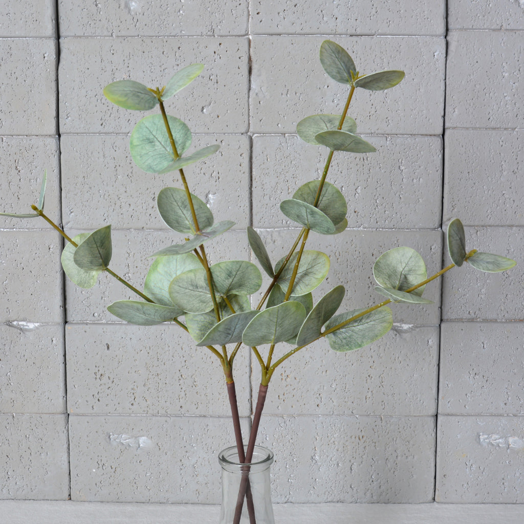 Real Touch Eucalyptus Stems (Set of 2), 20" Tall Faux Silver Dollar Greenery, Lifelike Grey-Green Leaves for Vase, Wedding Bouquets & Home Decor