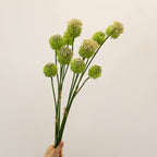 2-Pack Sculptural Allium Stems, 27.5" Tall Faux Onion Flower, Realistic Dandelion Spray for Modern Vase Decor, Weddings & Floral Design