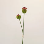 2-Pack Sculptural Allium Stems, 27.5" Tall Faux Onion Flower, Realistic Dandelion Spray for Modern Vase Decor, Weddings & Floral Design