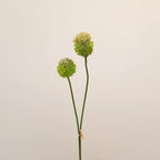 2-Pack Sculptural Allium Stems, 27.5" Tall Faux Onion Flower, Realistic Dandelion Spray for Modern Vase Decor, Weddings & Floral Design