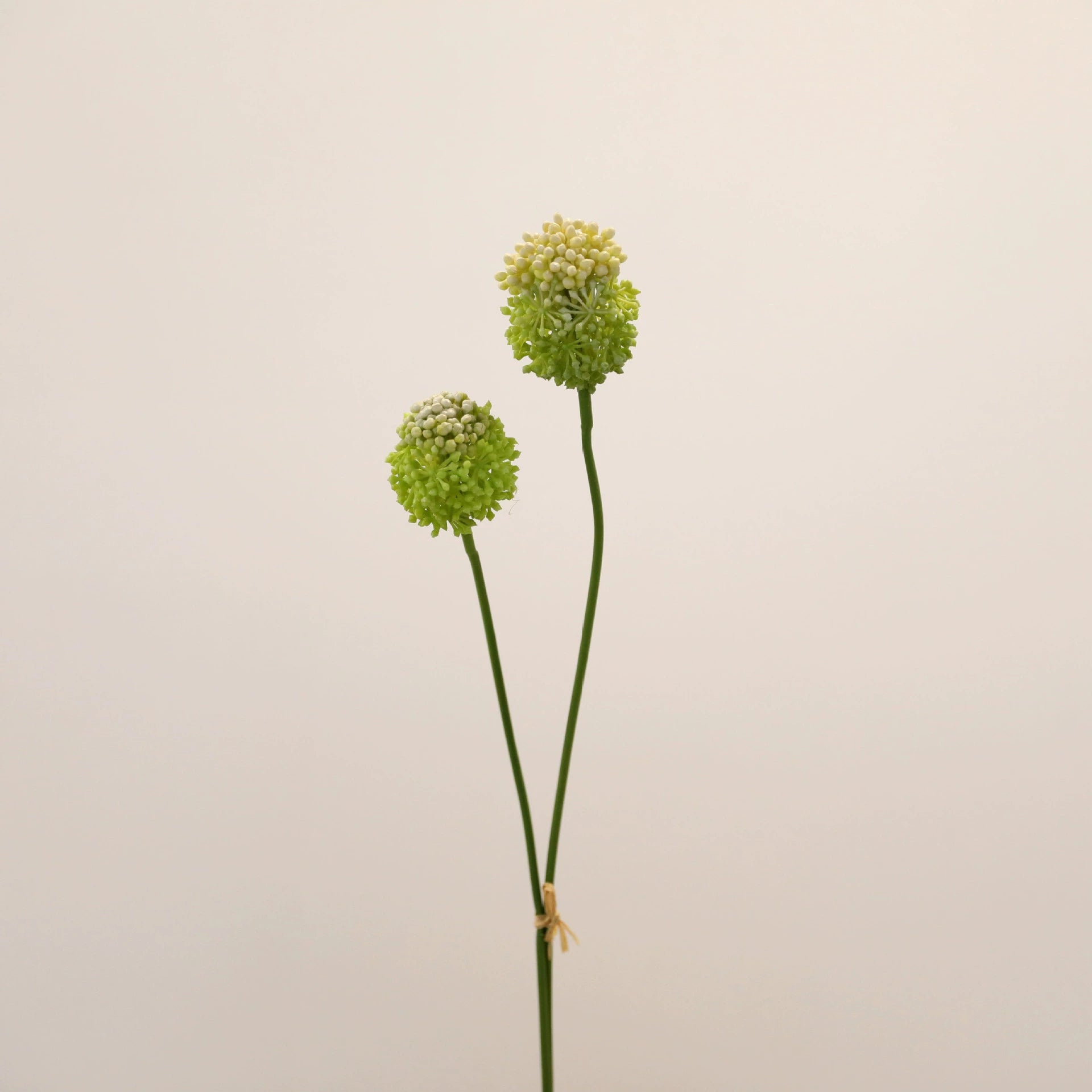 2-Pack Sculptural Allium Stems, 27.5" Tall Faux Onion Flower, Realistic Dandelion Spray for Modern Vase Decor, Weddings & Floral Design