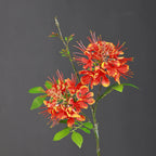 2-Pack Phoenix Flower Stems, 24" Tall Faux Peacock Flowers, Lifelike Silk Poinciana for Home Decor, Wedding Bouquets, Floral Arrangements