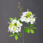 2-Pack Phoenix Flower Stems, 24" Tall Faux Peacock Flowers, Lifelike Silk Poinciana for Home Decor, Wedding Bouquets, Floral Arrangements