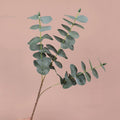 Realistic Silver Dollar Eucalyptus Stem, 20-Inch Faux Money Leaf Spray for Modern Home Decor, Vase Filler, DIY Wreaths & Wedding Greenery