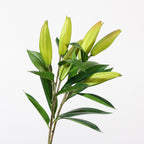 Real Touch Casablanca Lily Stem, 37" Tall Artificial Flower with 3 Buds, Life-Like Faux Floral for Tall Vases, Home Decor, Wedding Arrangements