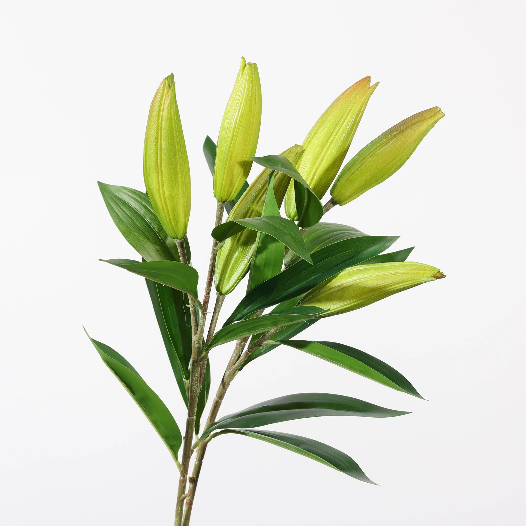 Real Touch Casablanca Lily Stem, 37" Tall Artificial Flower with 3 Buds, Life-Like Faux Floral for Tall Vases, Home Decor, Wedding Arrangements