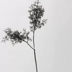 Ethereal Mist Pine Stem, 33" Tall Artificial Smoke Tree Branch, Realistic Airy Foliage for Sculptural Home Decor, Vase Filler, Wedding & Event Design