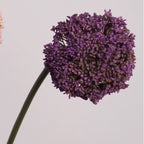 Realistic Faux Allium Stem, 30" Tall Artificial Allium Ball Flower, Lifelike Single Stem for Tall Vases, Wedding Decor, Home & Event Floral