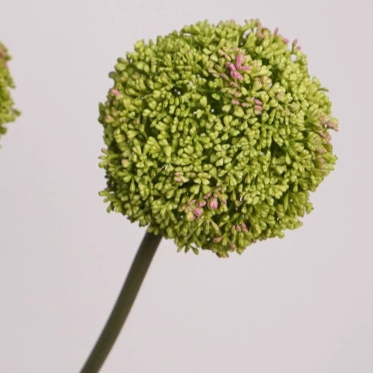 Realistic Faux Allium Stem, 30" Tall Artificial Allium Ball Flower, Lifelike Single Stem for Tall Vases, Wedding Decor, Home & Event Floral