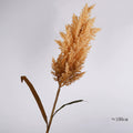 Faux Pampas Grass Stem, 39-Inch Tall Fluffy Reed, Realistic & Natural Look for Floor Vases, Boho Home Decor, Wedding Floral Arrangements