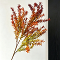Artificial Foxtail Grass Stems, 30" Set of 2, Realistic Autumnal Plumes, Tall Vase Filler for Home Decor, Wedding Arrangements, Event Design