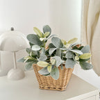 Faux Velvet Rabbit Ear Plant - 15" Realistic Decorative Greenery for Home Decor, Weddings, and Event Styling
