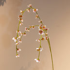 Set of 3 Long Hanging Wisteria Flowers, 39" Artificial Trailing Vine, Realistic Silk Blooms for Wedding Arch, Ceiling Decor, Event & Home Floral