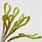 Realistic 24" Faux Fern Wall Decoration, Lifelike Greenery for Home Decor, Weddings, Events, and Planters