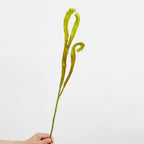 Realistic 24" Faux Fern Wall Decoration, Lifelike Greenery for Home Decor, Weddings, Events, and Planters