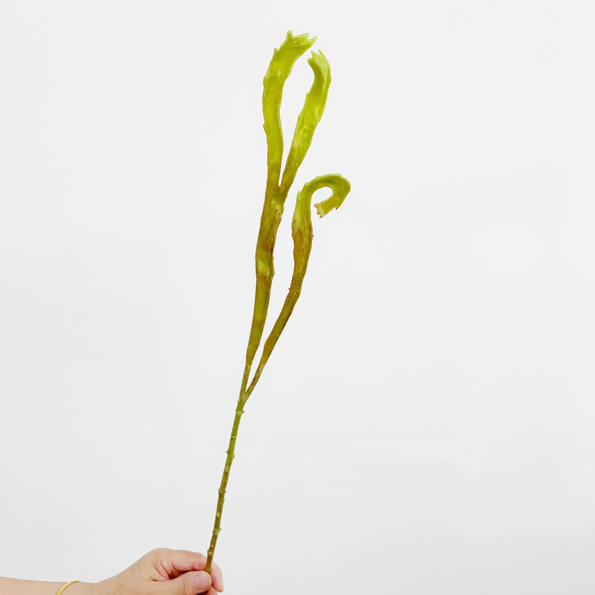 Realistic 24" Faux Fern Wall Decoration, Lifelike Greenery for Home Decor, Weddings, Events, and Planters