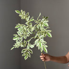 34" Lifelike Trailing Star Jasmine Vine, Realistic Faux Greenery Stem for Wedding Bouquets, Event Decor & Elevated Home Arrangements