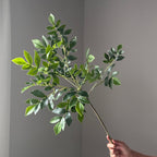 34" Lifelike Trailing Star Jasmine Vine, Realistic Faux Greenery Stem for Wedding Bouquets, Event Decor & Elevated Home Arrangements