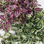 30" Realistic Trailing Vine, Artificial Purple-Tinged Hanging Plant, Bulk Faux Greenery for Wedding Planners, Wall Decor & DIY Florals