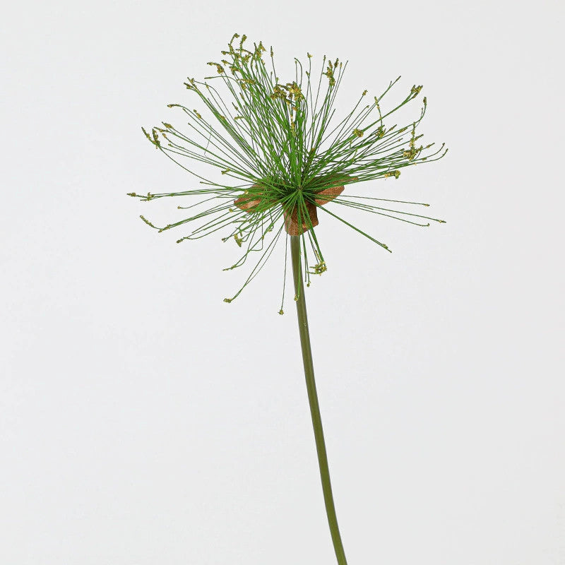 Faux Papyrus Stem, 32" or 25" Tall Realistic Allium Grass, Architectural Plant for Modern Vase Arrangements, Home Decor, Wedding & Event Floral