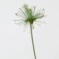 Faux Papyrus Stem, 32" or 25" Tall Realistic Allium Grass, Architectural Plant for Modern Vase Arrangements, Home Decor, Wedding & Event Floral