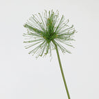 Faux Papyrus Stem, 32" or 25" Tall Realistic Allium Grass, Architectural Plant for Modern Vase Arrangements, Home Decor, Wedding & Event Floral