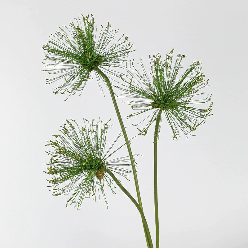 Faux Papyrus Stem, 32" or 25" Tall Realistic Allium Grass, Architectural Plant for Modern Vase Arrangements, Home Decor, Wedding & Event Floral
