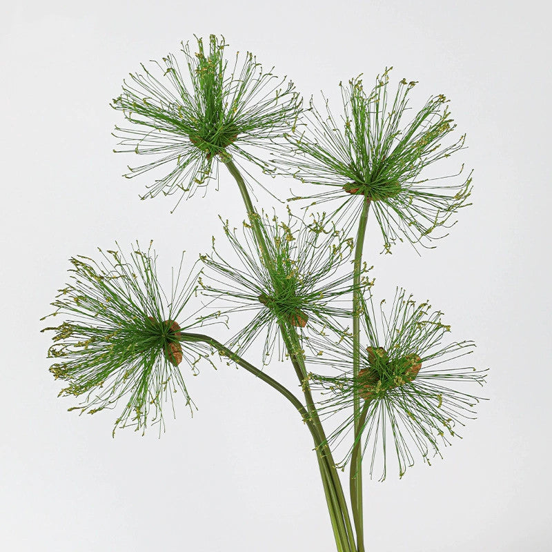 Faux Papyrus Stem, 32" or 25" Tall Realistic Allium Grass, Architectural Plant for Modern Vase Arrangements, Home Decor, Wedding & Event Floral