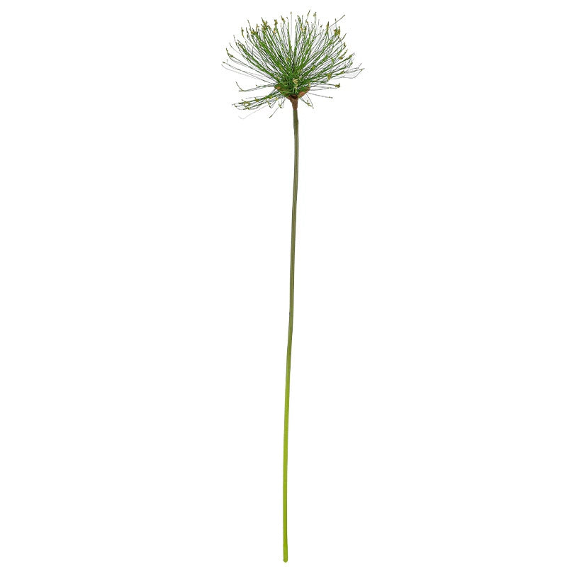 Faux Papyrus Stem, 32" or 25" Tall Realistic Allium Grass, Architectural Plant for Modern Vase Arrangements, Home Decor, Wedding & Event Floral
