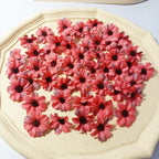 50-Pack Small Silk Daisy Heads, 1.5" Faux Cosmos Flowers for DIY Crafts, Wreaths, Wedding Decor & Event Floristry, Bulk Floral Supplies