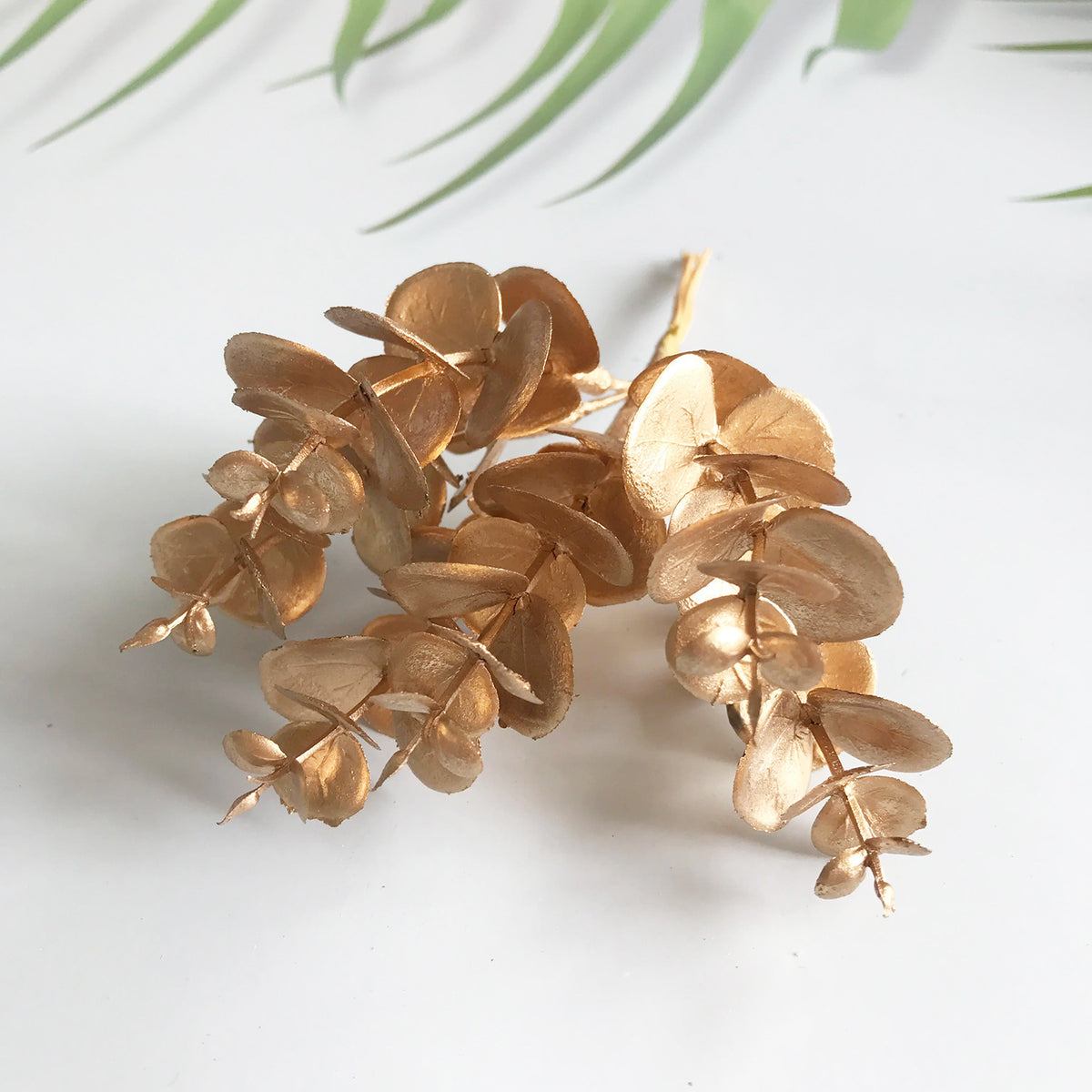 Mini Frosted Eucalyptus & Money Plant Leaves, 5.5" Realistic Greenery Stems for DIY Crafts, Wedding Boutonnières, Vase Filler & Gift Box Decor