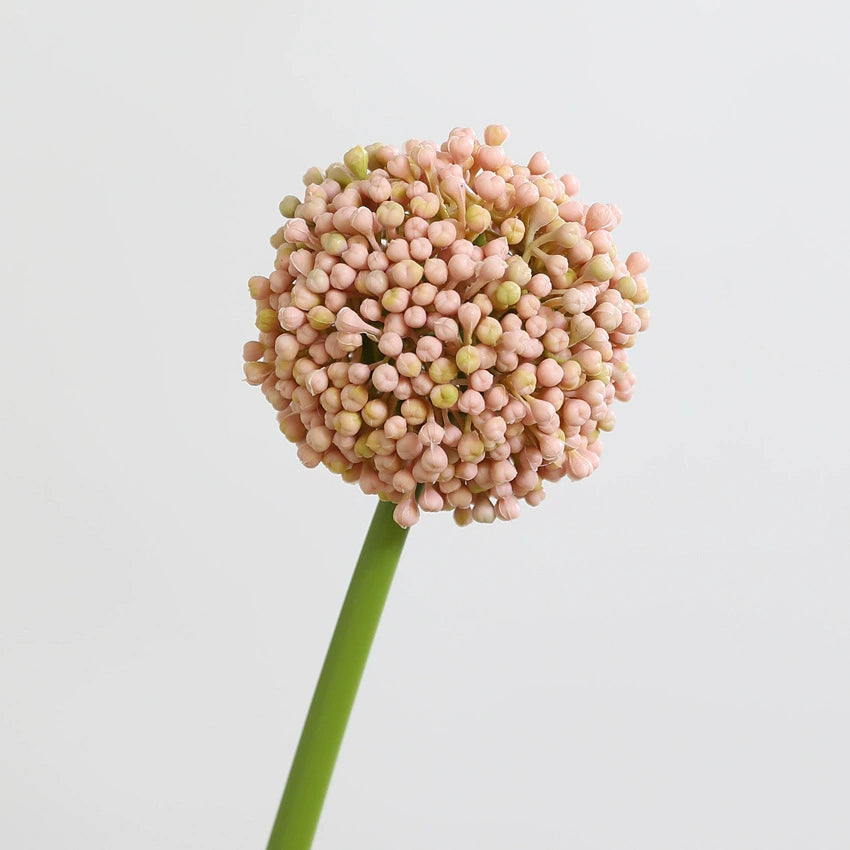 Real-Touch Artificial Hydrangea Stems, 21" Tall with 4" Bloom Heads, Lifelike Faux Floral Arrangement for Vases, Home Decor, Weddings & Commercial Displays (Set of 1, No Vase Included)