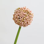 Real-Touch Artificial Hydrangea Stems, 21" Tall with 4" Bloom Heads, Lifelike Faux Floral Arrangement for Vases, Home Decor, Weddings & Commercial Displays (Set of 1, No Vase Included)