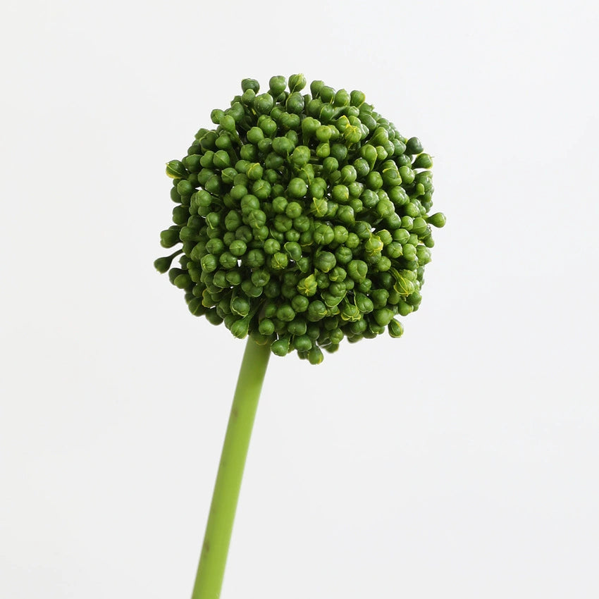 Real-Touch Artificial Hydrangea Stems, 21" Tall with 4" Bloom Heads, Lifelike Faux Floral Arrangement for Vases, Home Decor, Weddings & Commercial Displays (Set of 1, No Vase Included)