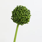Real-Touch Artificial Hydrangea Stems, 21" Tall with 4" Bloom Heads, Lifelike Faux Floral Arrangement for Vases, Home Decor, Weddings & Commercial Displays (Set of 1, No Vase Included)