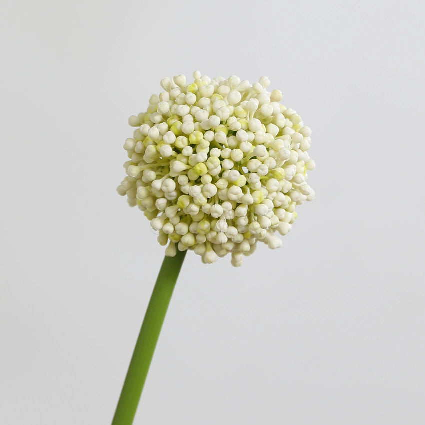 Real-Touch Artificial Hydrangea Stems, 21" Tall with 4" Bloom Heads, Lifelike Faux Floral Arrangement for Vases, Home Decor, Weddings & Commercial Displays (Set of 1, No Vase Included)