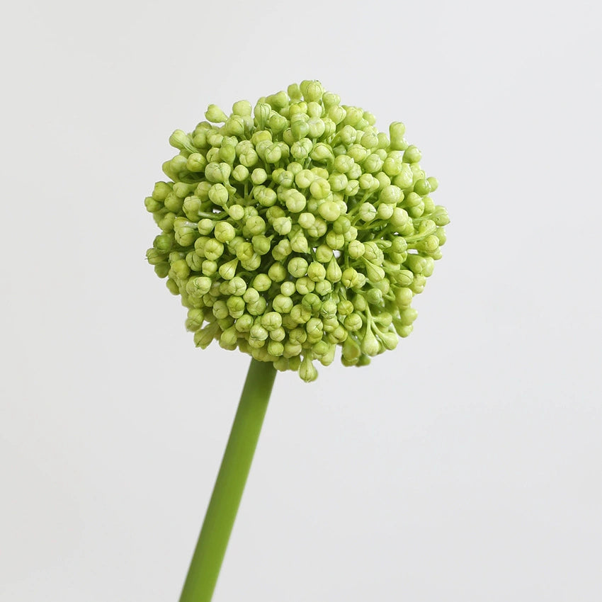 Real-Touch Artificial Hydrangea Stems, 21" Tall with 4" Bloom Heads, Lifelike Faux Floral Arrangement for Vases, Home Decor, Weddings & Commercial Displays (Set of 1, No Vase Included)
