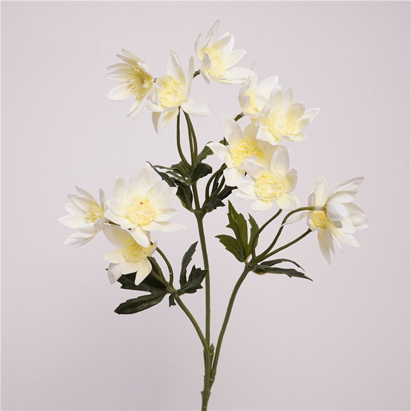 Real-Touch Dandelion Stem, 26", 12 Blooms, Artificial Flower for Vase Arrangements, Home Decor, Weddings, Photography Props