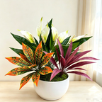 Artificial Peace Lily & Dracaena Combo Set, 23" Tall Faux Plants for Home Decor, Office Greenery, Modern Indoor Arrangement (Set of 3)