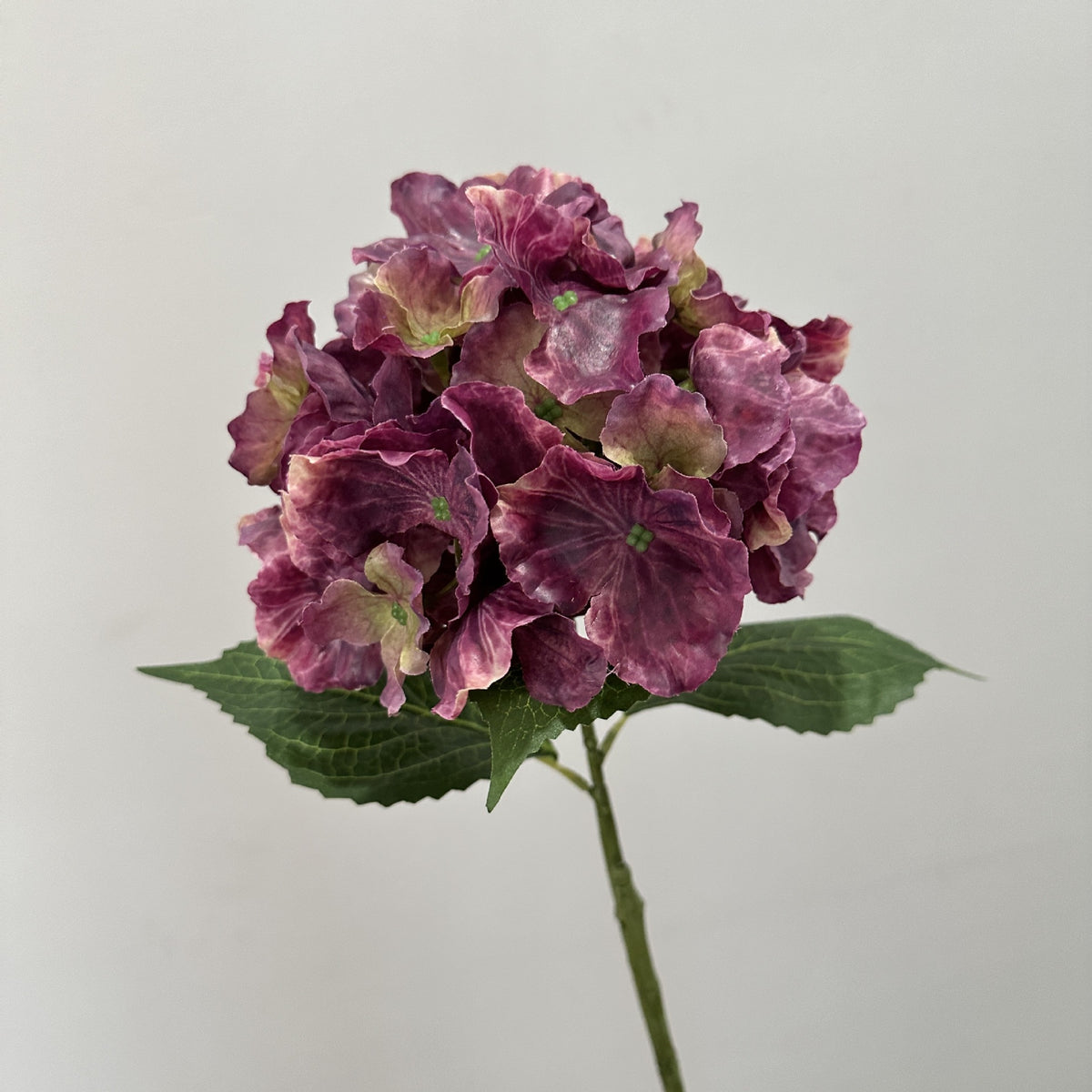 Vintage Autumn Wave Hydrangea Bush, 22" Tall, Realistic Artificial Flower for Home Decor, Hotel Styling