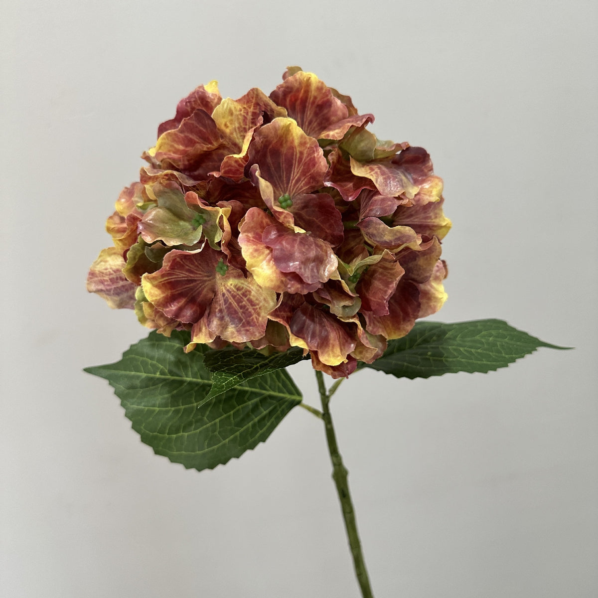 Vintage Autumn Wave Hydrangea Bush, 22" Tall, Realistic Artificial Flower for Home Decor, Hotel Styling
