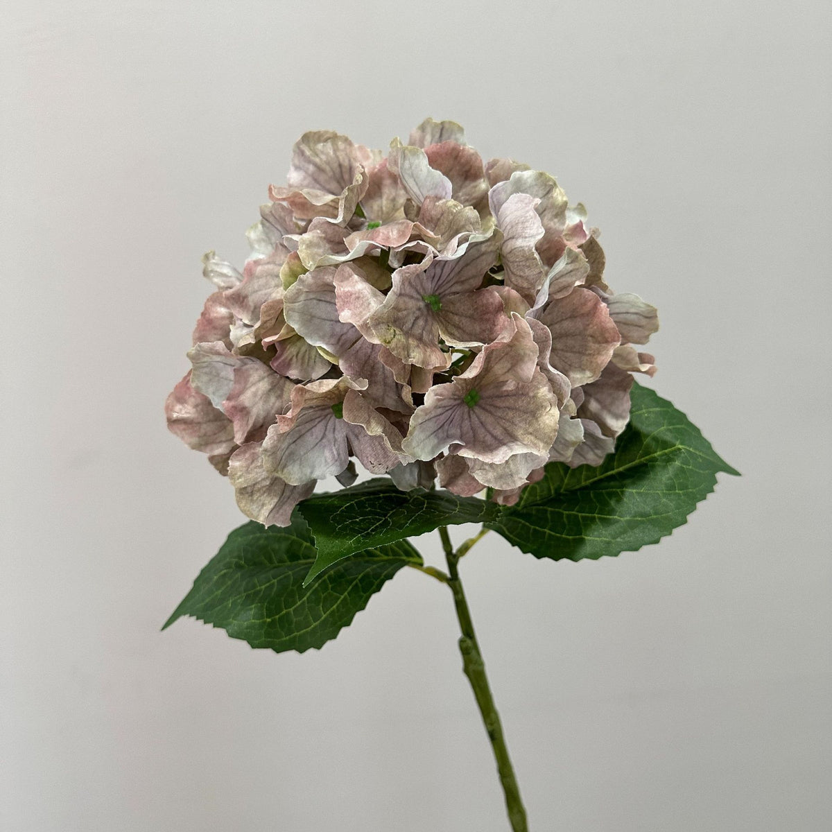 Vintage Autumn Wave Hydrangea Bush, 22" Tall, Realistic Artificial Flower for Home Decor, Hotel Styling