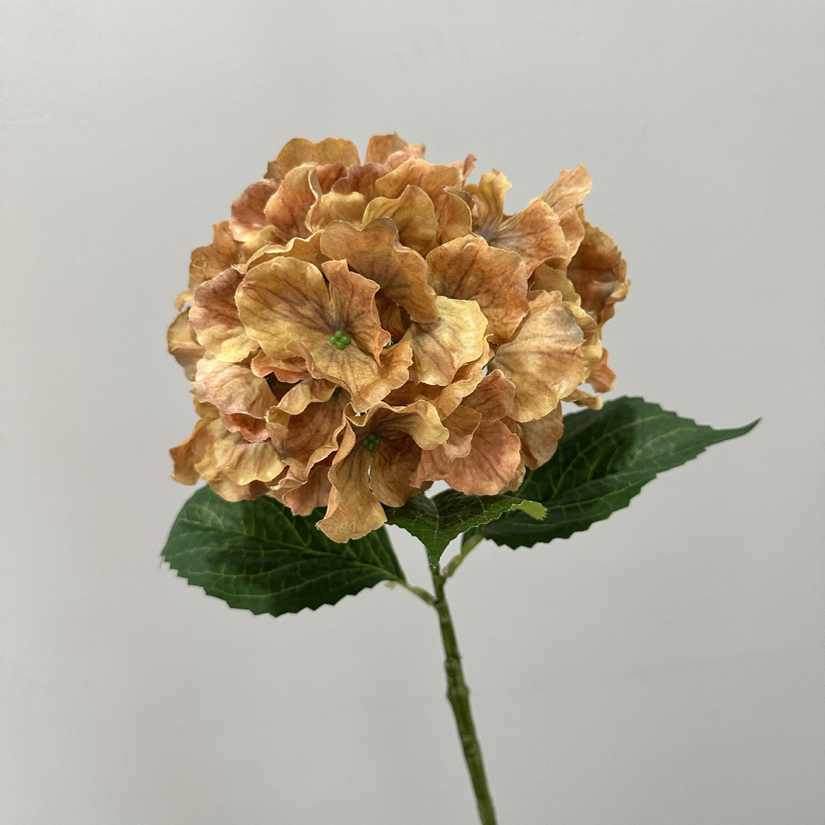 Vintage Autumn Wave Hydrangea Bush, 22" Tall, Realistic Artificial Flower for Home Decor, Hotel Styling