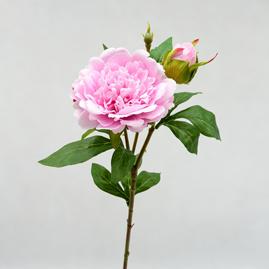 Artificial Peony Stem, Realistic Peony Bush with 2 Blooms, 26" Tall, Home Decor, Table Centerpiece, Photography Prop