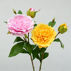 Artificial Peony Stem, Realistic Peony Bush with 2 Blooms, 26" Tall, Home Decor, Table Centerpiece, Photography Prop